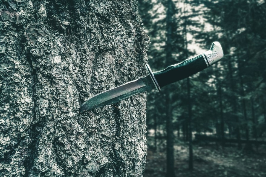 Un couteau Bowie damassé dans un arbre.